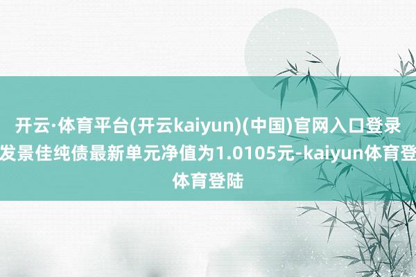 开云·体育平台(开云kaiyun)(中国)官网入口登录广发景佳纯债最新单元净值为1.0105元-kaiyun体育登陆