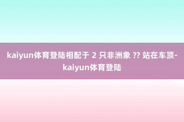 kaiyun体育登陆相配于 2 只非洲象 ?? 站在车顶-kaiyun体育登陆