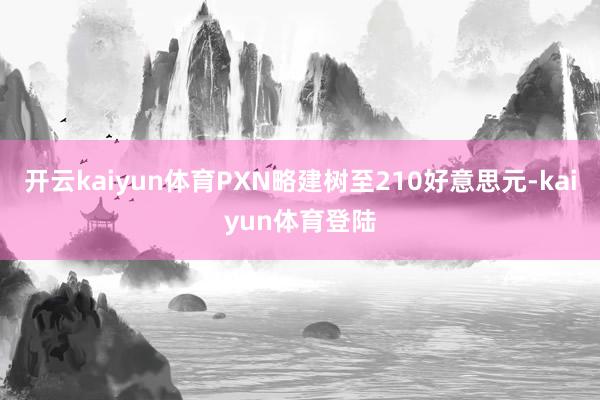 开云kaiyun体育PXN略建树至210好意思元-kaiyun体育登陆